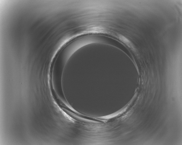 X0000066501334200603201313