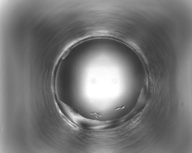 X0000066501342200603201313