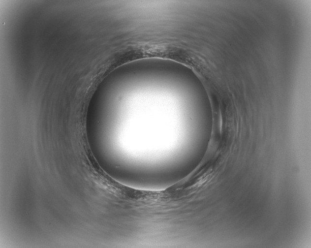 X0000066501345200603201312