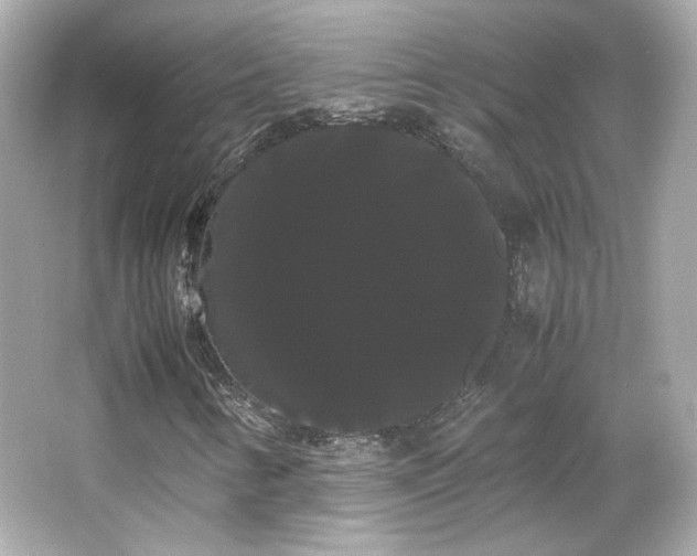 X0000066501346200603201312