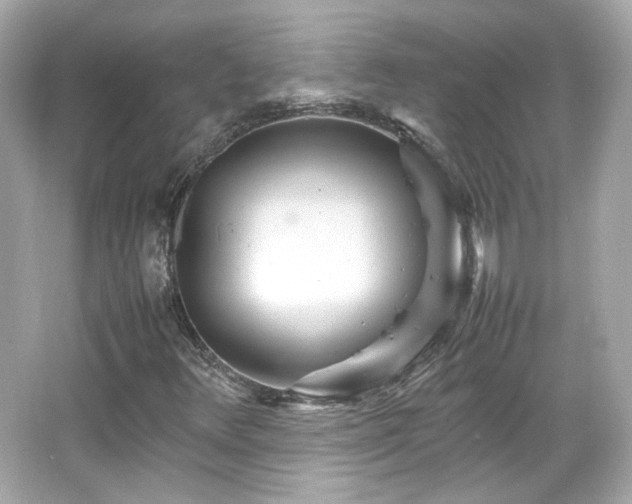 X0000066501348200603201312