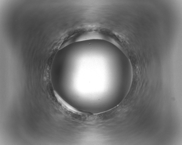 X0000066501349200603201312