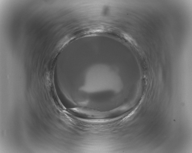 X0000066501353200603201312