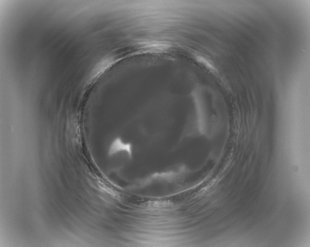 X0000066501354200603201312