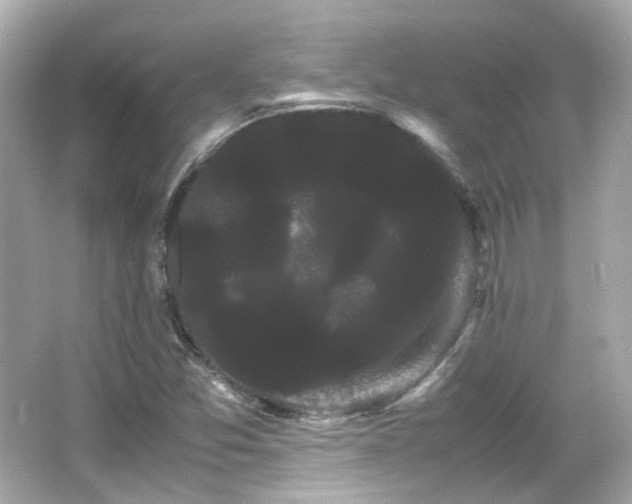 X0000066501357200603201312
