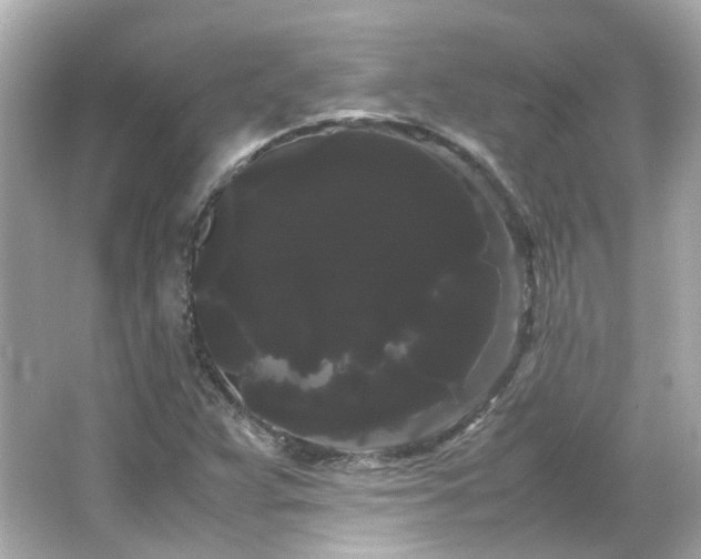 X0000066501359200603201312