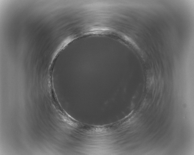 X0000066501362200603201312
