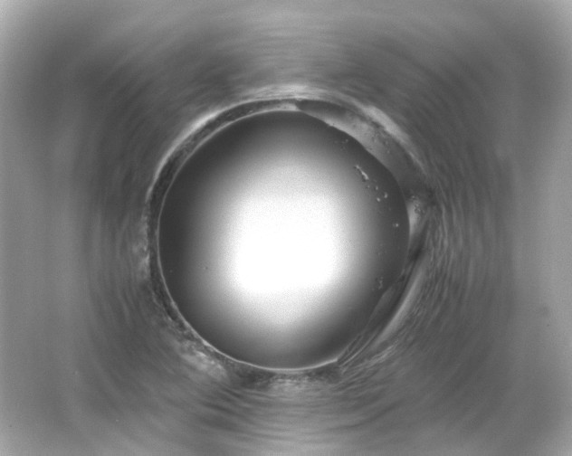 X0000066501364200603201312