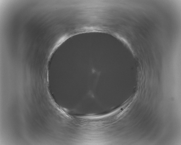 X0000066501365200603201312