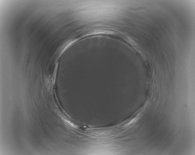 X0000066501369200603201312