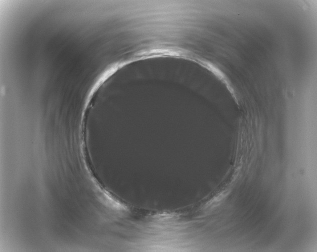 X0000066501373200603201312