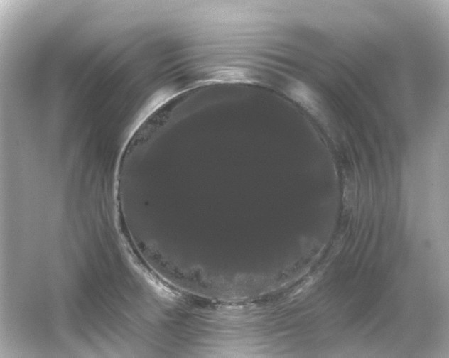 X0000066501378200603201312