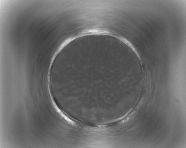 X0000066501381200603201312