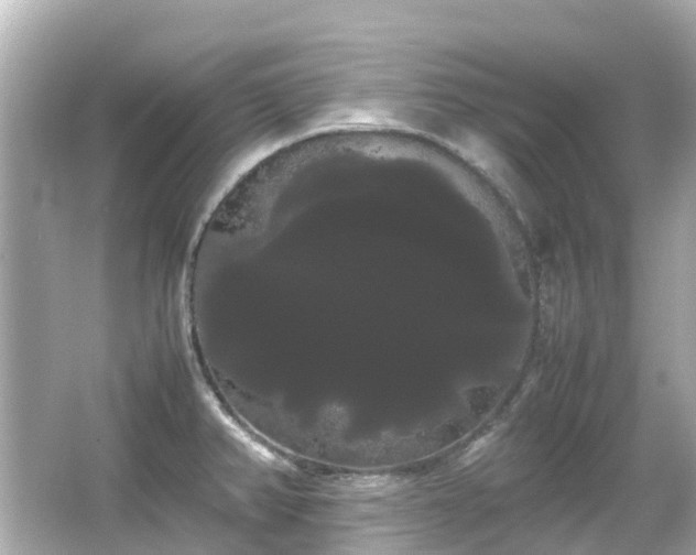 X0000066501382200603201312