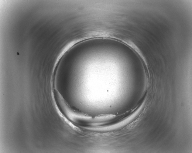 X0000066501389200603201311