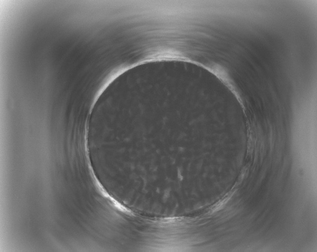 X0000066501390200603201311