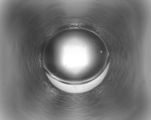 X0000066501394200603201311