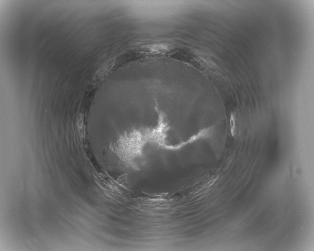 X0000066501395200603201311