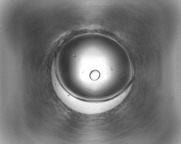 X0000066501398200603201311