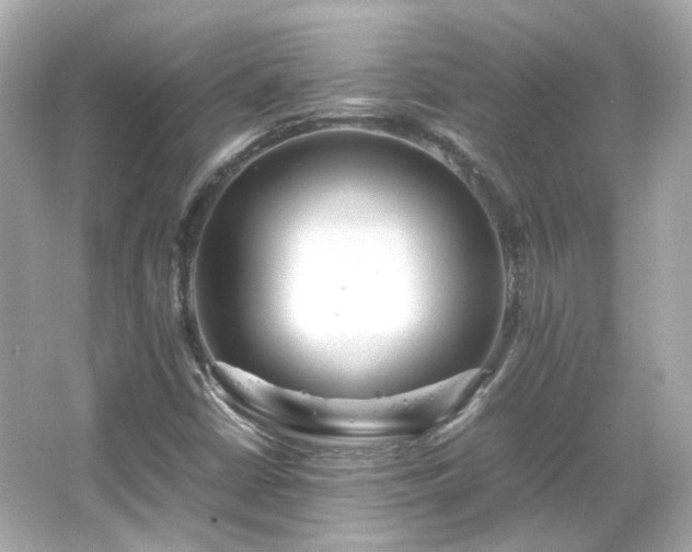 X0000066501402200603201311