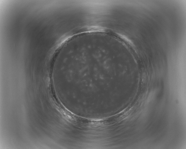 X0000066501407200603201311
