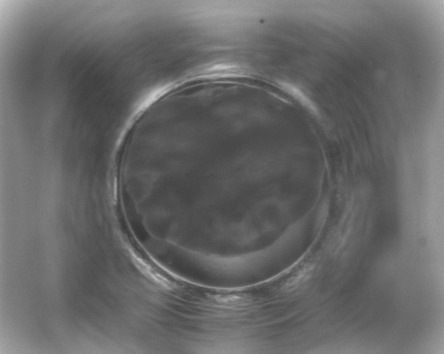 X0000066501413200603201311