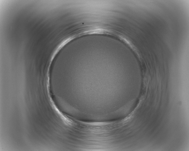 X0000066501418200603201311