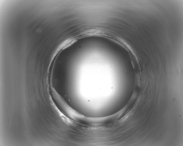 X0000066501434200603201311