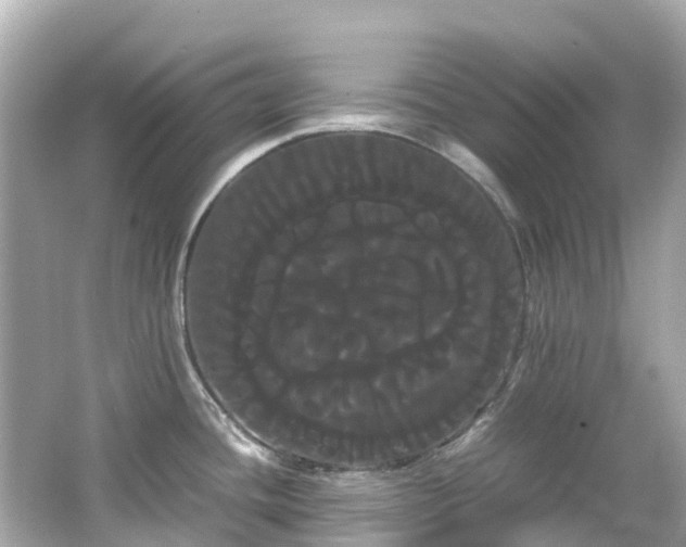 X0000066501436200603201311