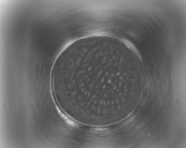 X0000066501439200603201311