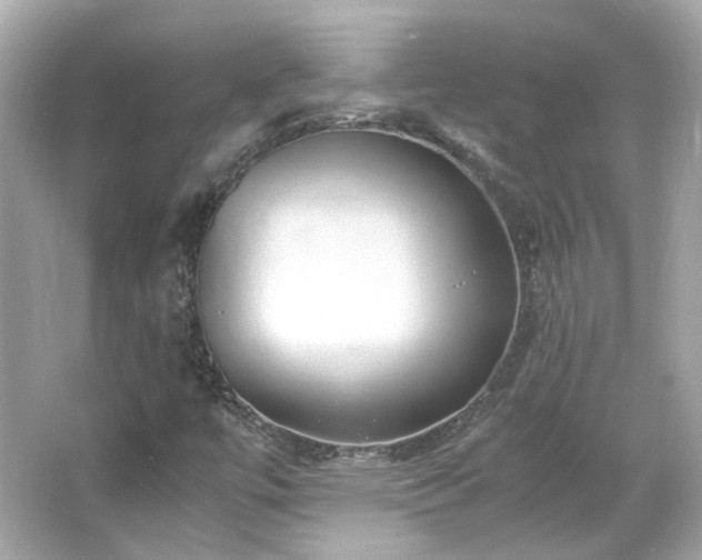 X0000066501447200603201310
