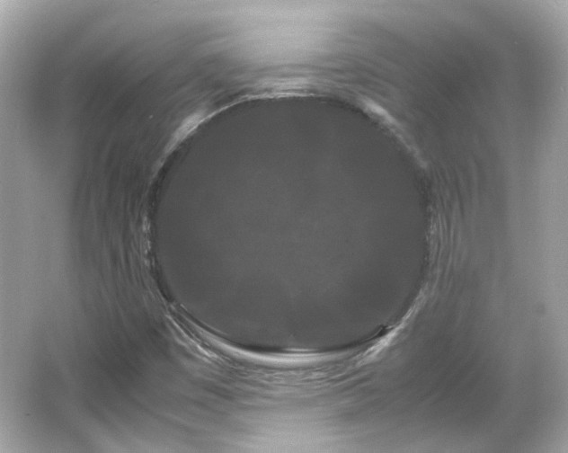 X0000066501449200603201310
