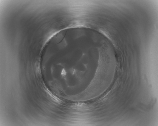 X0000066501452200603201310