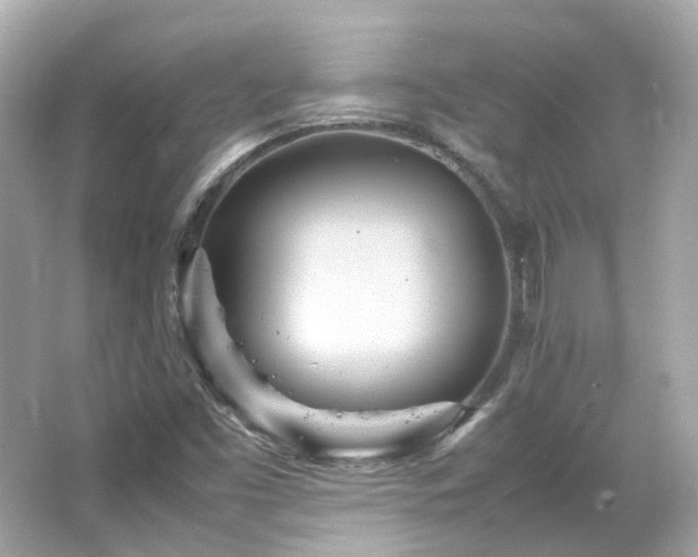X0000066501453200603201310