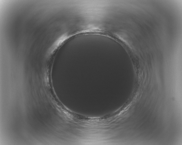 X0000066501455200603201310