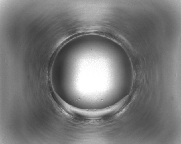 X0000066501457200603201310