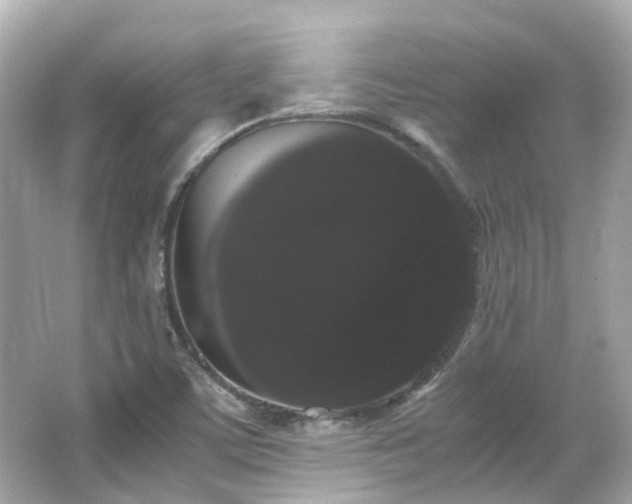 X0000066501459200603201310