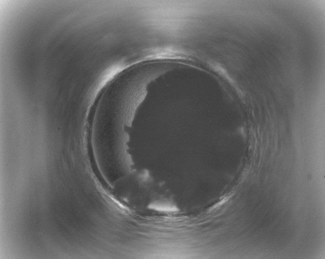 X0000066501463200603201310