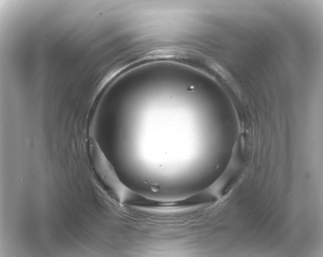 X0000066501465200603201310