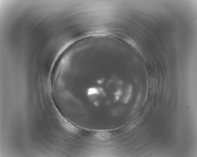 X0000066501466200603201310