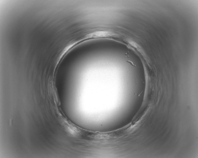 X0000066501473200603201310