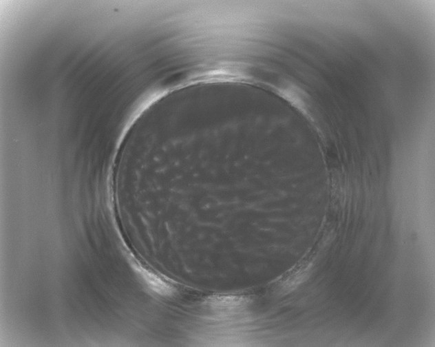 X0000066501474200603201310