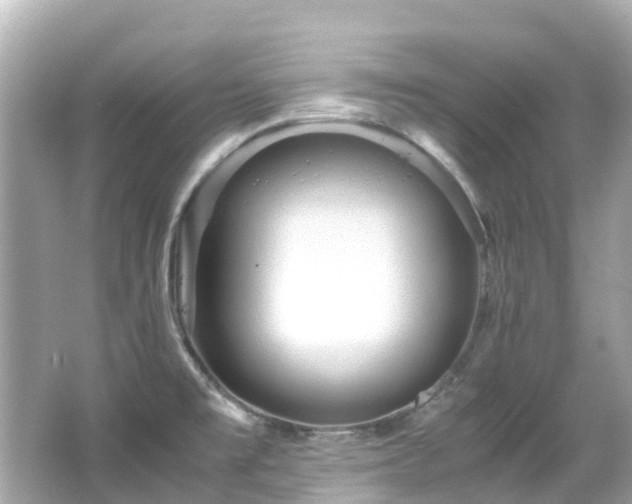 X0000066501477200603201310