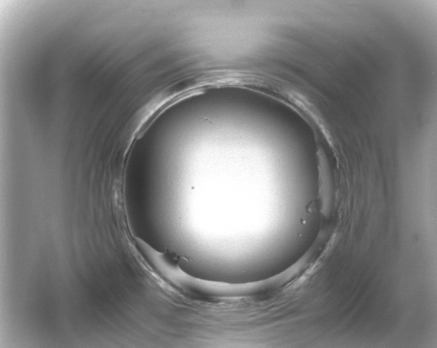 X0000066501481200603201310