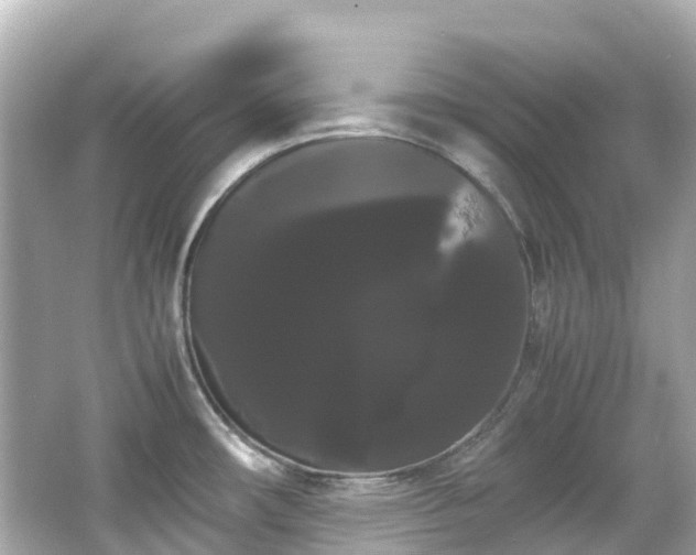 X0000066501482200603201310