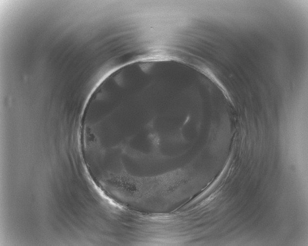 X0000066501484200603201310