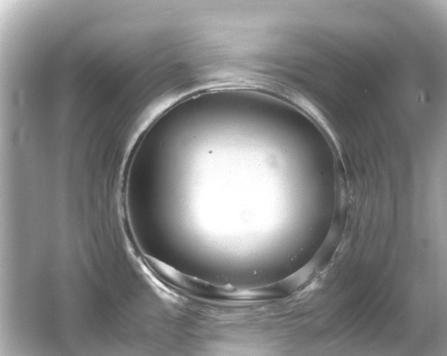 X0000066501485200603201310