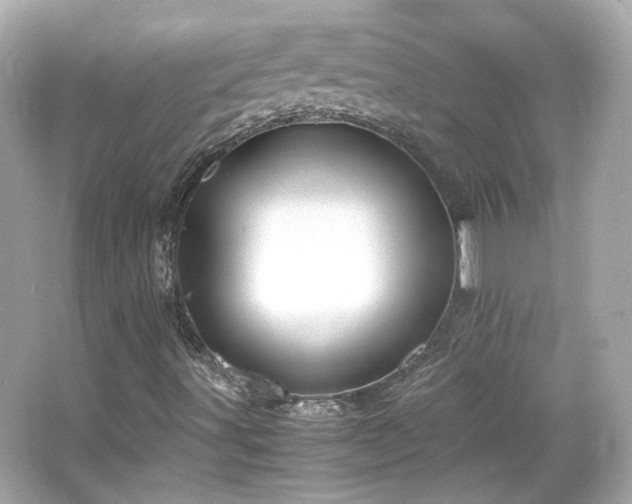 X0000066501491200603201309