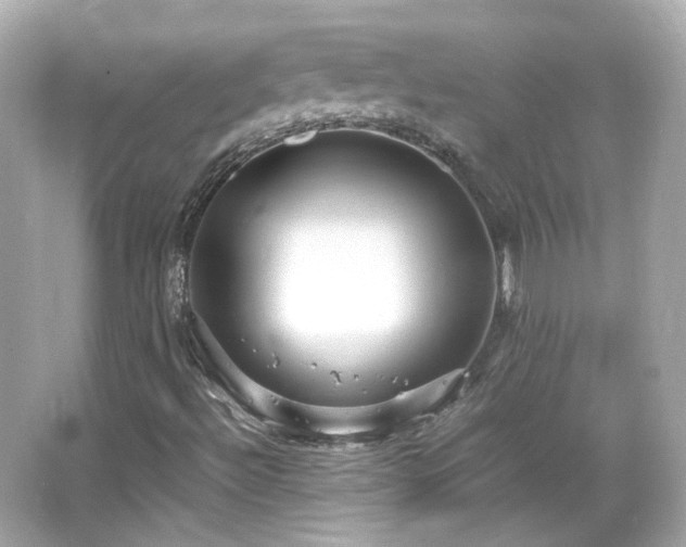 X0000066501492200603201309