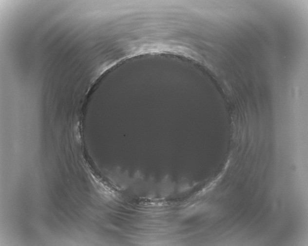 X0000066501497200603201309